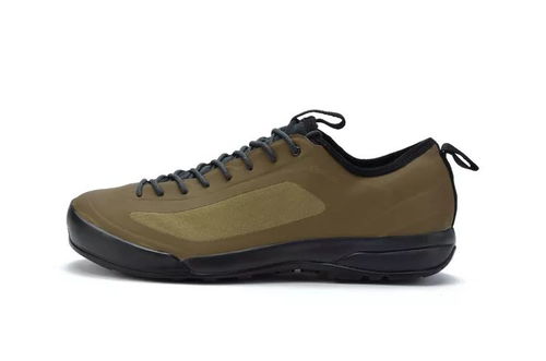 鸟鞋新色焕新登场 极致体验，悦享足下风采